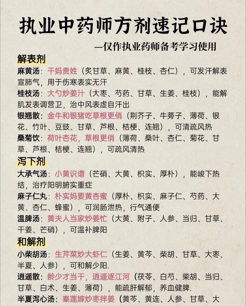 中医集团行业动态：引领传统医学现代化